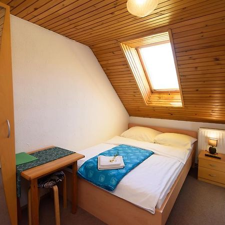 Penzion Vila Bistrica Bohinjska Bistrica Exteriér fotografie