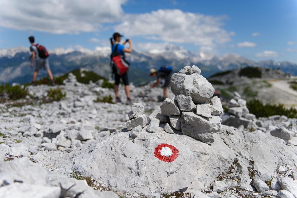 Penzion Vila Bistrica Bohinjska Bistrica Exteriér fotografie