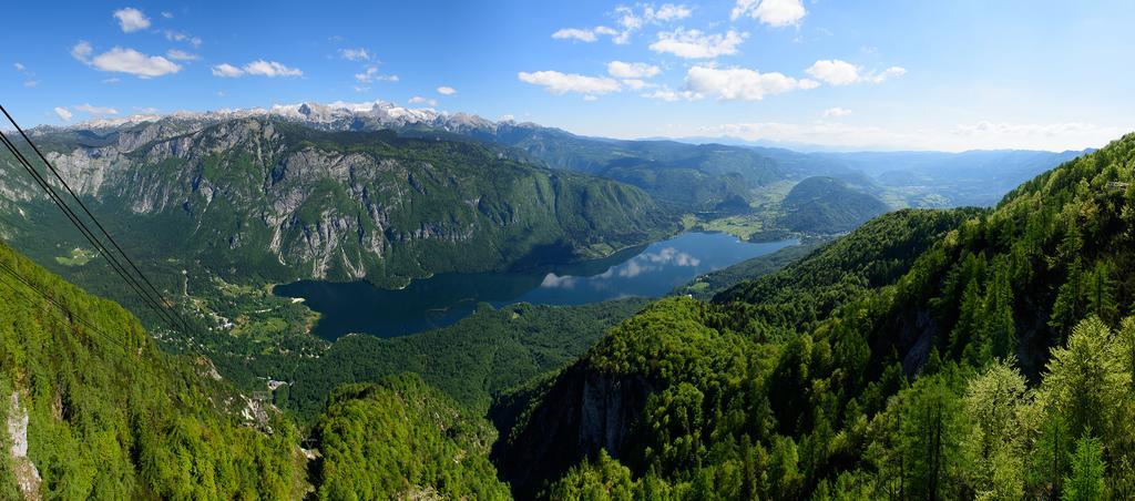 Penzion Vila Bistrica Bohinjska Bistrica Exteriér fotografie