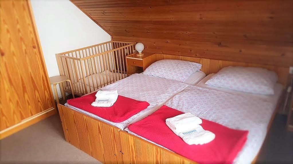 Penzion Vila Bistrica Bohinjska Bistrica Exteriér fotografie